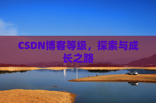CSDN博客等级，探索与成长之路